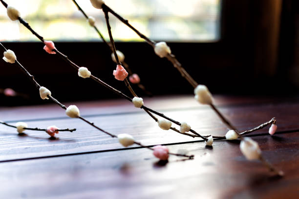 色彩豊かな Hanamochi のマクロ・クローズアップ日本では、米で作られた伝統的な新年の花の飾り