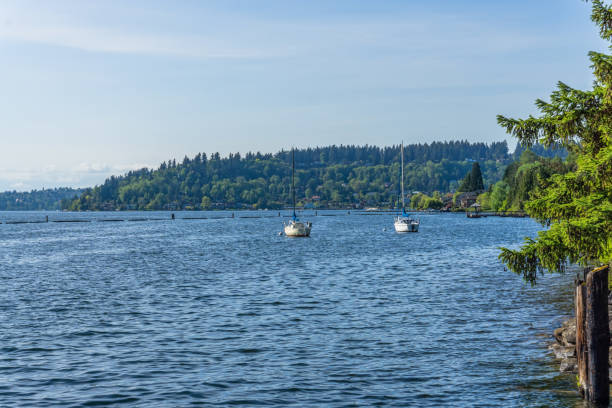 istock Saliboast On The Lake 3 1151609415