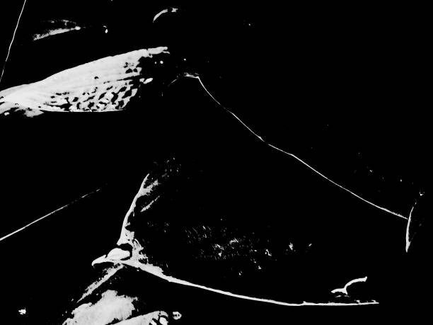 Stylised white fishbone floating in mid air casting shadow on white background in greyscale monochrome. Illustration of the concept of kitchen waste and leftovers
