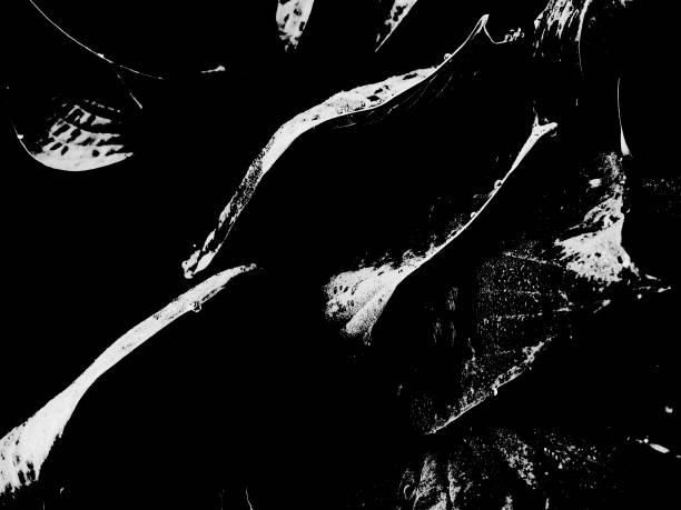 istock Illustration. Monochrome abstraction. Background and texture for design and decoration. Black and white mood. 1151609875