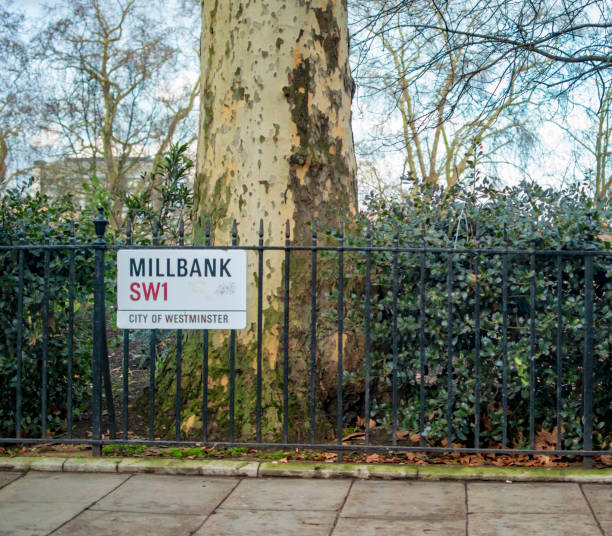 istock Millbank london and an old tree on the sides 1151616078