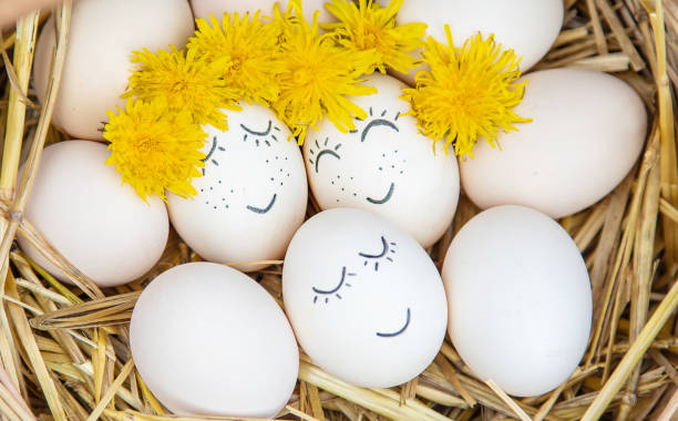 istock homemade eggs with beautiful faces and a smile. Selective focus. 1151619927