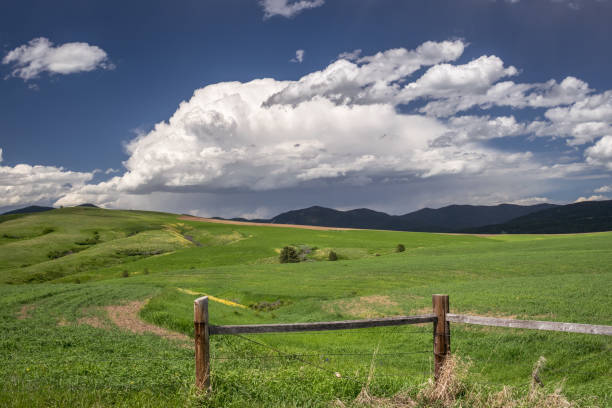 las nubes de tormenta están construyendo sobre las montañas cerca de lewistown en el centro de montana - lewistown fotografías e imágenes de stock