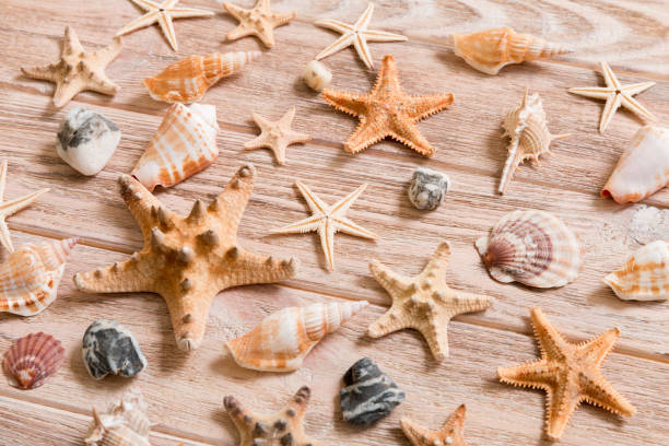 istock Starfish and seashells background on a wooden table, top view, flat lay 1151621208