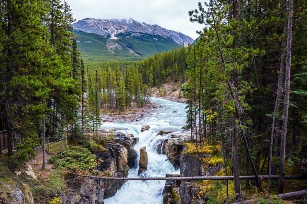 istock The waterfall rushes to the rocks 1151622749