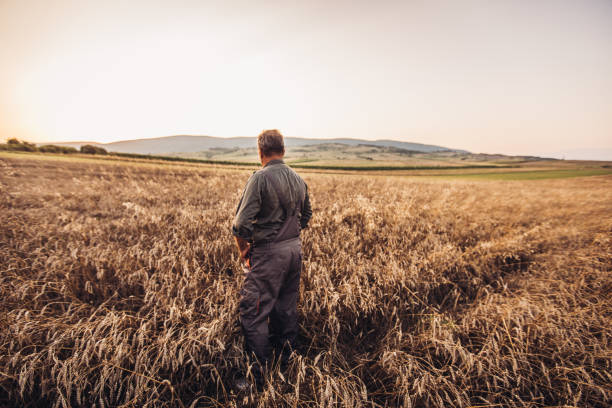 istock Senior farmer looking at sunset 1151624273