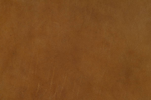 istock Brown leather detailed texture background close up. 1151627433