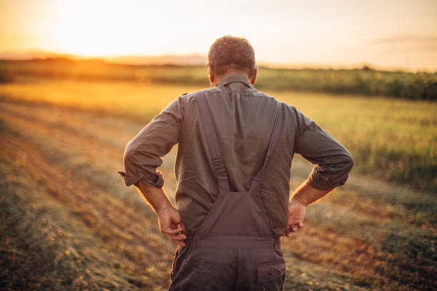 istock Farmer watching sunset after harvest 1151627456