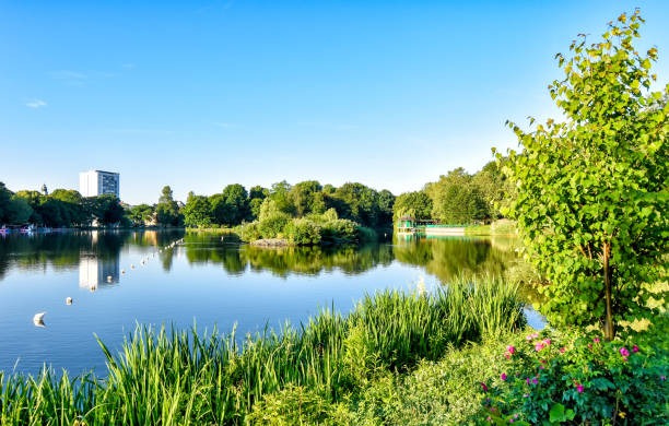 istock Pond 