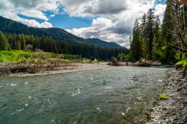 istock Hoh river in Washington's Olympic Peninsula 1151632083
