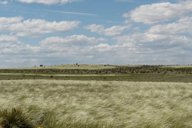 beautiful new mexico vista in springtime - high desert imagens e fotografias de stock