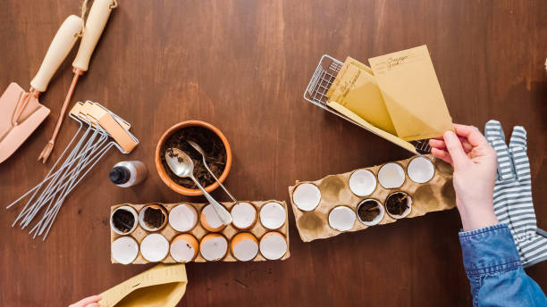 istock Mother and daughter starting seeds in eggshells for Spring planting. 1151639304