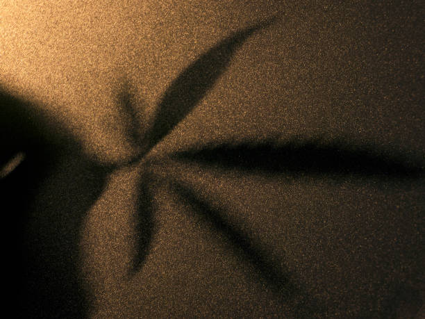 istock cannabis leaf,hemp leaf shadow, medical marijuana 1151639703