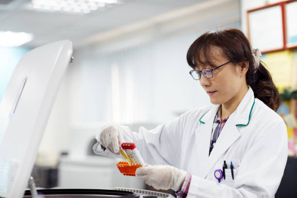 istock Female scientist examining samples in test tubes 1151640443