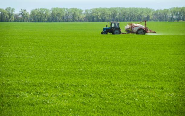 istock The tractor sprays winter wheat with bio-fertilizer 1151640624