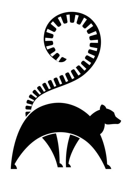 lemur chodzenia - lemur stock illustrations