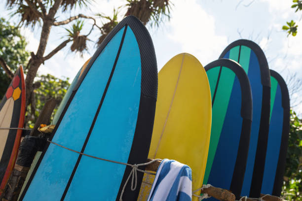 istock Stack of different surfboard for a rental on the beach 1151646630