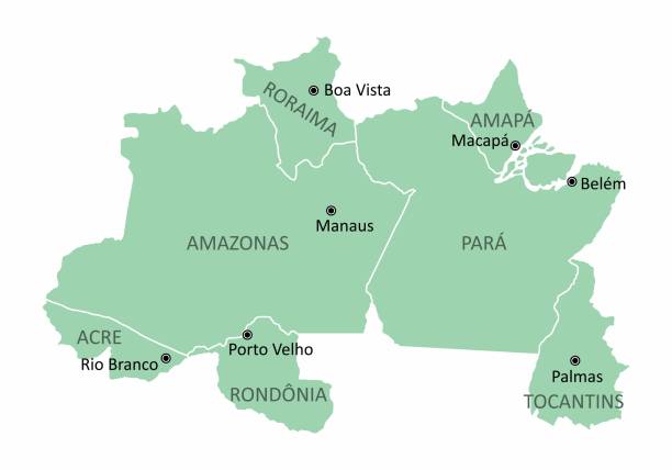 ilustraciones, imágenes clip art, dibujos animados e iconos de stock de mapa de la región norte de brasil - amazonas state