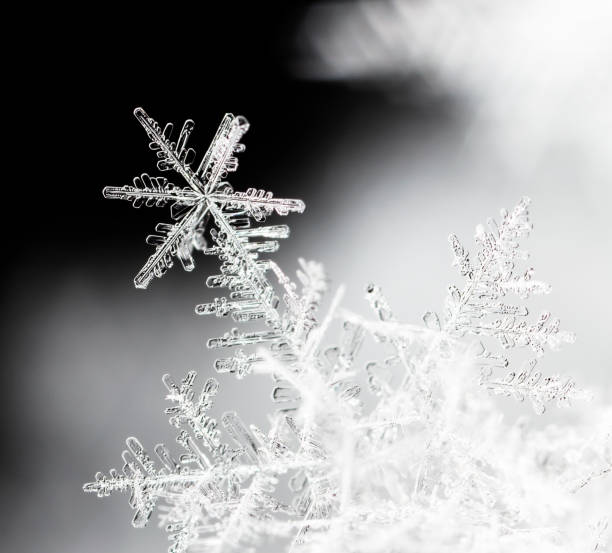 istock natural snowflakes on snow, winter 1151650195