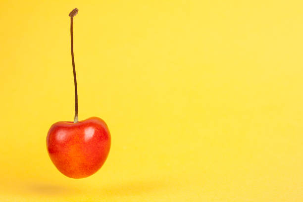 istock Red cherry completely hanging on yellow background 1151650781