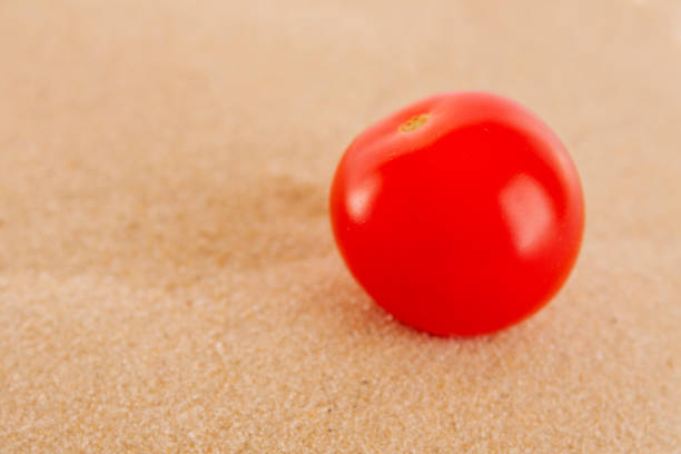 One cherry tomato lies on the sand