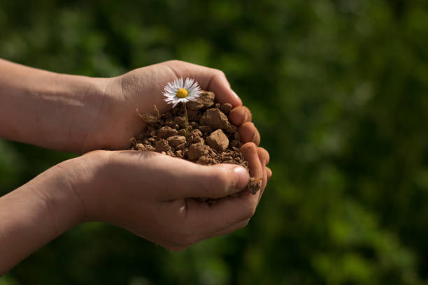 istock Hand Holding New Life 1151651060