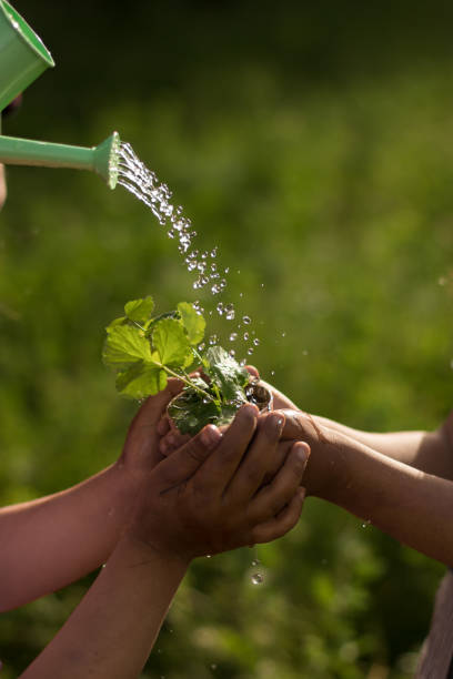 istock Hand Holding New Life 1151651915