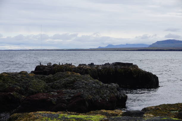 istock Beautiful Iceland with breathtaking nature in summer 1151651992