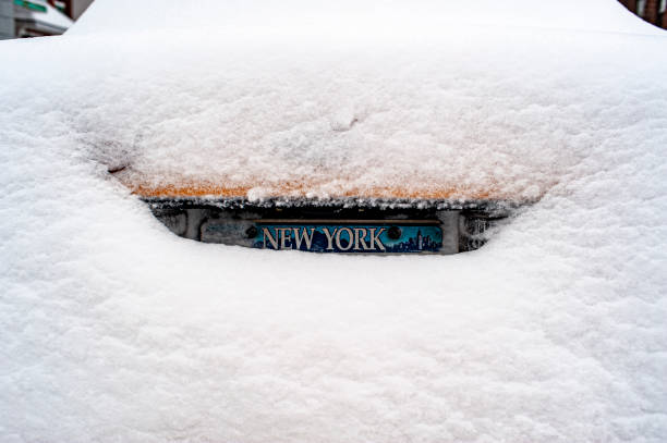 istock New York licence plate in snow 1151653072