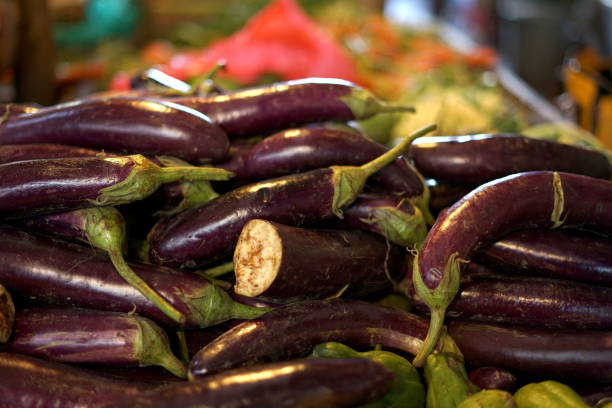 istock Fresh organic eggplan for sale at traditional market 1151657454