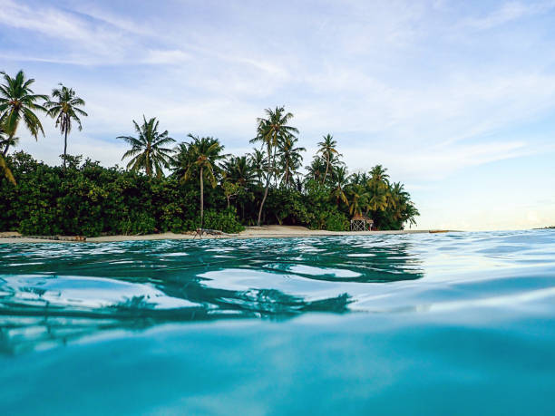 istock Maldivian Sunset on a Tropical Island With Palm Trees 1151659526