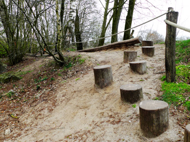 Part of obstacle course, parkour for children in the woods. Consist of wood stumps logs and thick rope. stock photo