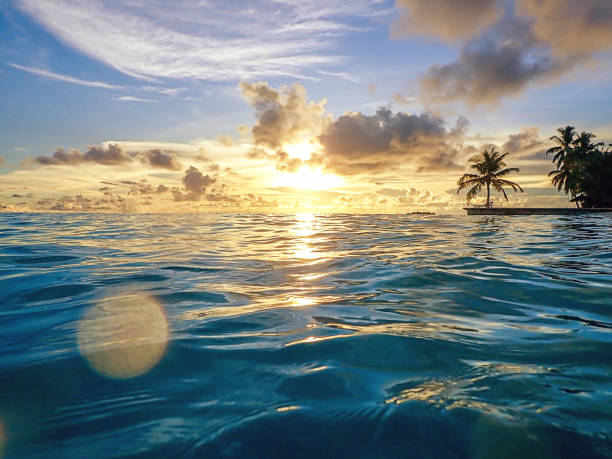 istock Maldivian Sunset on a Tropical Island With Palm Trees 1151662592
