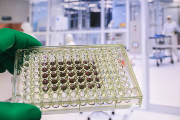 istock In the pharmacological laboratory. 1151662878