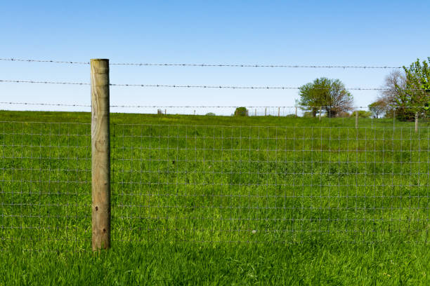 istock Single wooden post and fence 1151664046