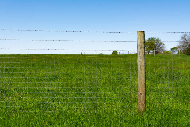 istock Single wooden post and fence 1151664188