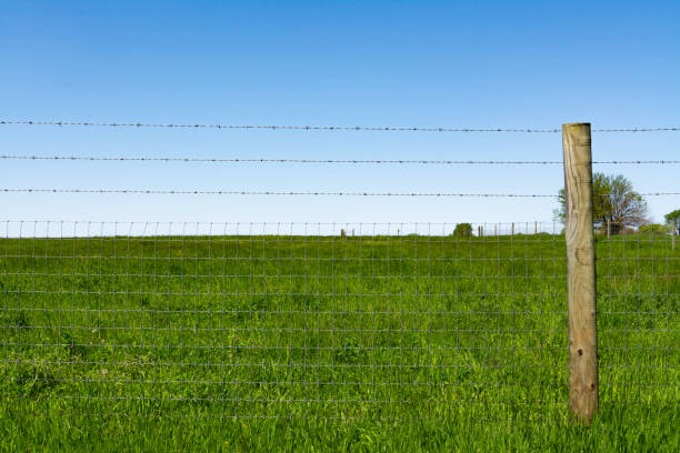 istock Single wooden post and fence 1151664191