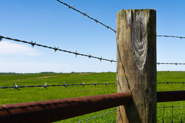 istock Wooden post and barbed wire 1151664299