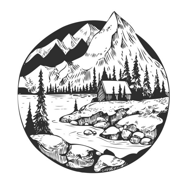 дикий природный ландшафт с горами, озером, соснами, скалами. нарисованная вручную иллюстрация преобразуется в вектор. отлично подходит для  - pencil pine stock illustrations