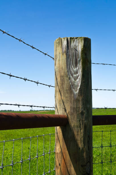 istock Wooden post and barbed wire 1151672316