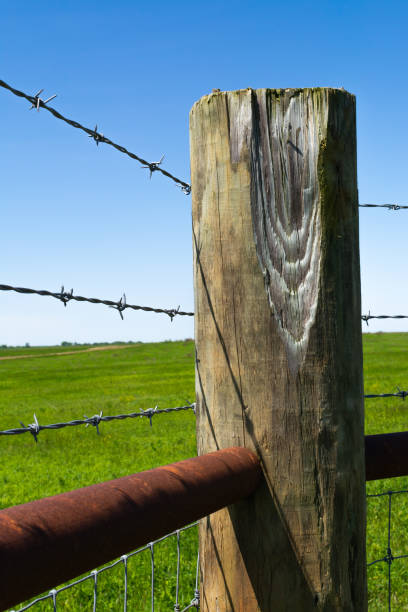 istock Wooden post and barbed wire 1151672429