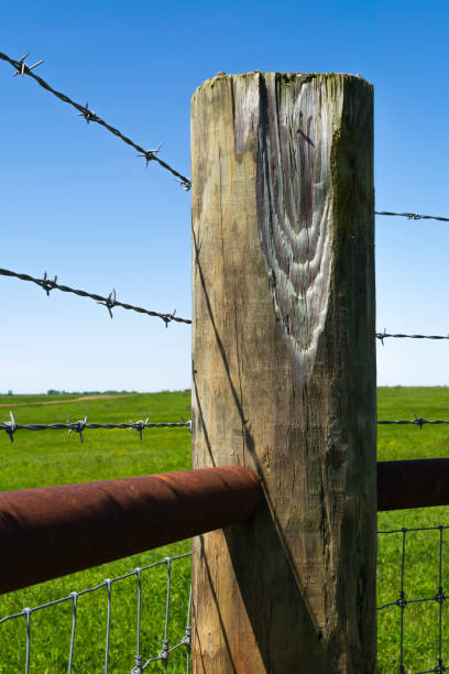 istock Wooden post and barbed wire 1151672542