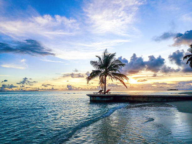 istock Maldivian Sunset on a Tropical Island With Palm Trees 1151674257