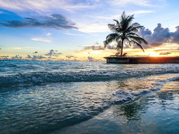 istock Maldivian Sunset on a Tropical Island With Palm Trees 1151675370