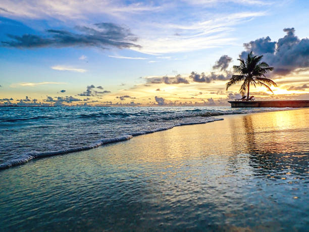 istock Maldivian Sunset on a Tropical Island With Palm Trees 1151675605