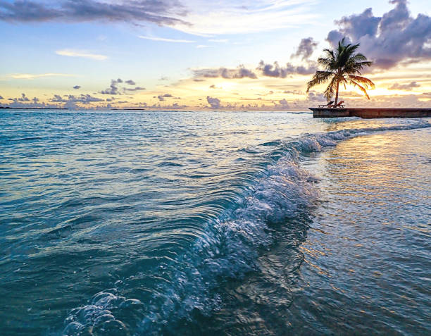 istock Maldivian Sunset on a Tropical Island With Palm Trees 1151676172