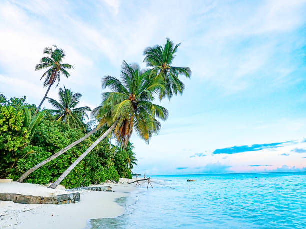 Tropical beach