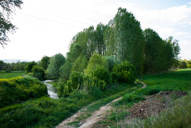 istock landscape, dirt roads 1151678539