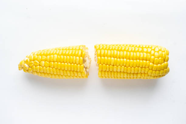 istock Close Up of raw corn on white background. 1151683986