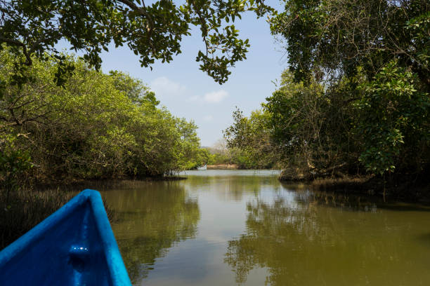 istock Beautiful sunny day on river in Palolem Goa India 1151686895